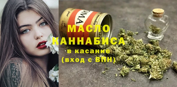 молекула духа Елабуга