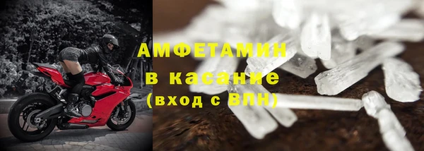 шишки Гвардейск