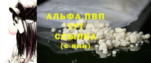 молекула духа Елабуга