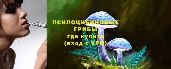 кокаин Ельня