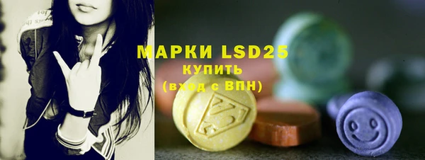 молекула духа Елабуга