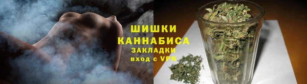 мдпв Елизово