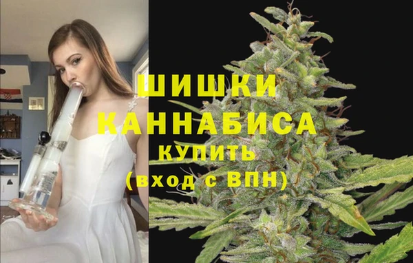 мдпв Елизово