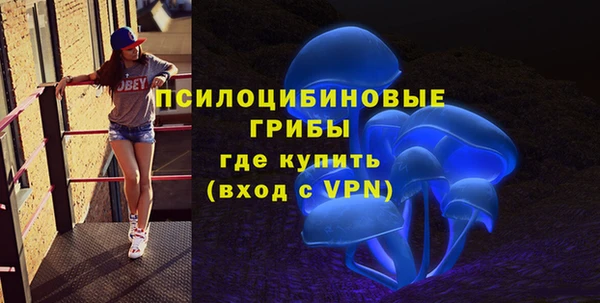 мдпв Елизово