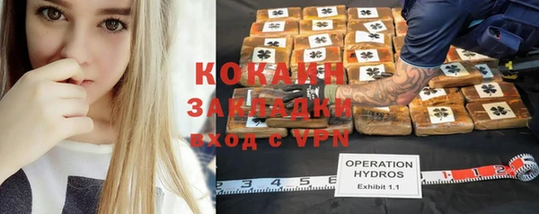 молекула духа Елабуга
