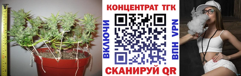 ТГК жижа  omg сайт  Новый Оскол 