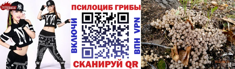 Галлюциногенные грибы Magic Shrooms  OMG зеркало  Новый Оскол  наркошоп 